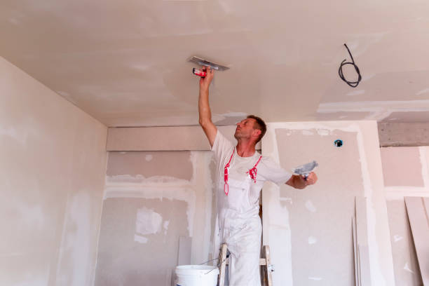 Best Eco-Friendly and Low-VOC Painting  in New Town, ND